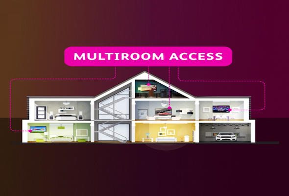 A variety of fun experiences for the whole family